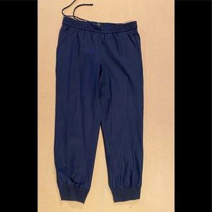 J. Crew navy wool joggers